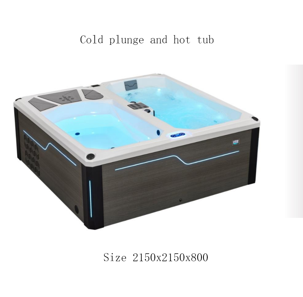Cold plunge tub and hot tub combo